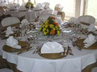 /album/eventos-realizados/festa-018-jpg1/